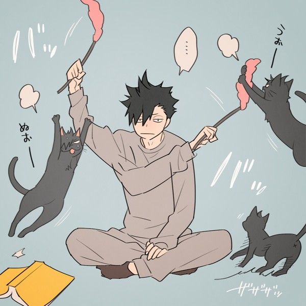 Featured image of post Kuroo Fanart Cat